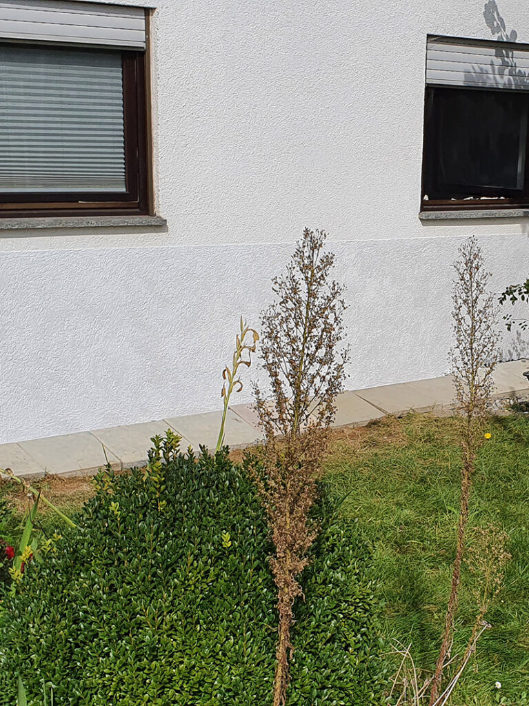 kewabo® gmbh mönchengladbach referenzen